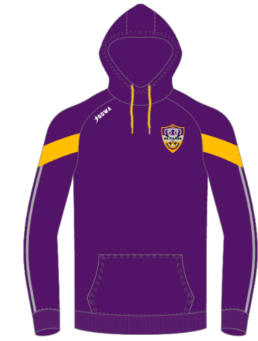 Na Fianna Hoodie