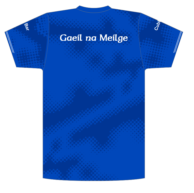 Melvin Gaels Training Jersey - Mens