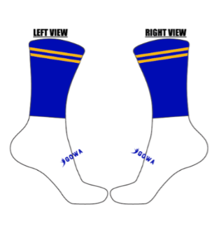 Clann na nGael Midi Socks