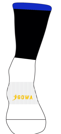 CT Gaels LGFA Match Socks