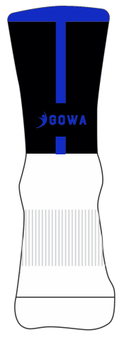 CT Gaels LGFA Match Socks