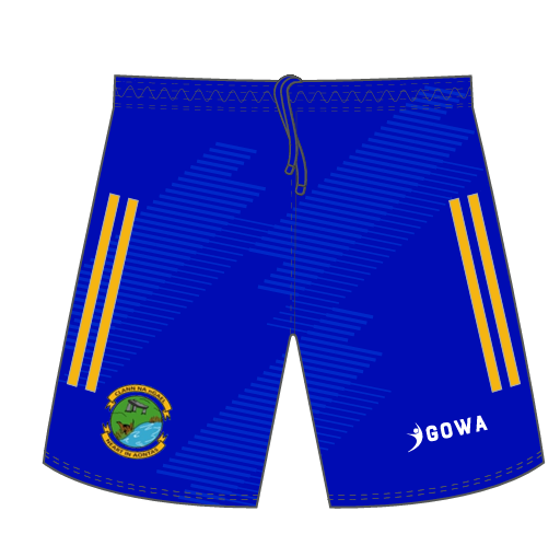 Clann na nGael Playing Shorts